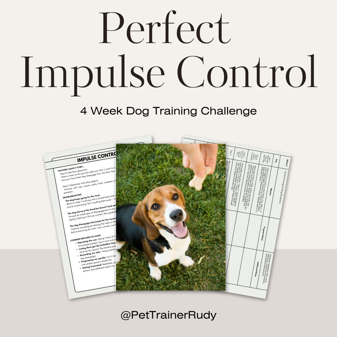 Dog Training Plan PDF: 4-Week Impulse Control Program + Bonuses (Printable Tracker Included