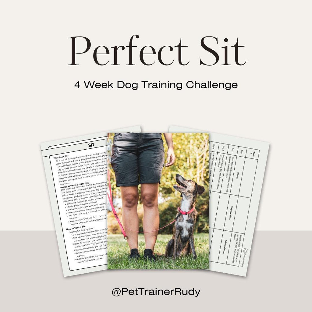 4-Week Sit Dog Training Challenge: Puppy Obedience Worksheet (PDF Download)