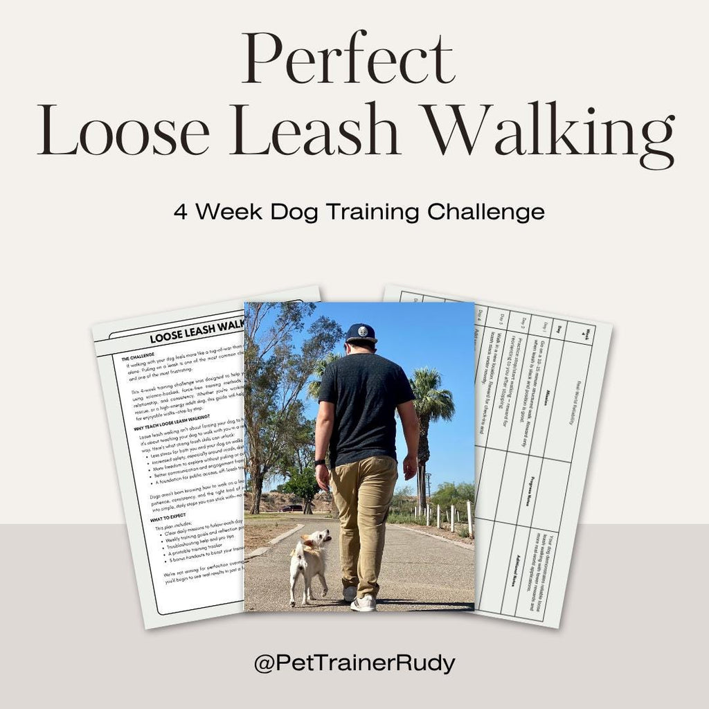 Loose Leash Walking Dog Training: 4-Week Challenge (PDF Plan & Tracker