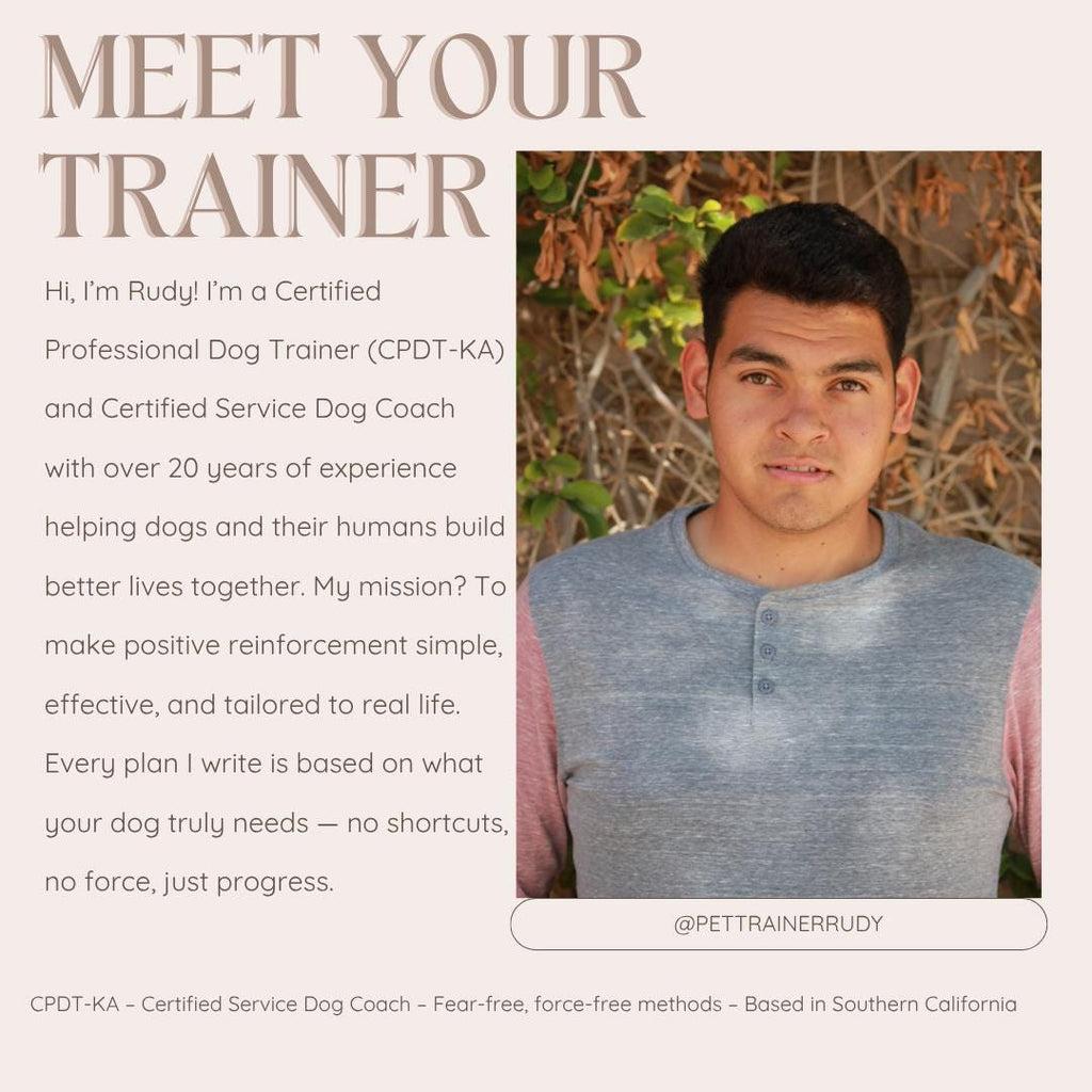 Loose Leash Walking Dog Training: 4-Week Challenge (PDF Plan & Tracker