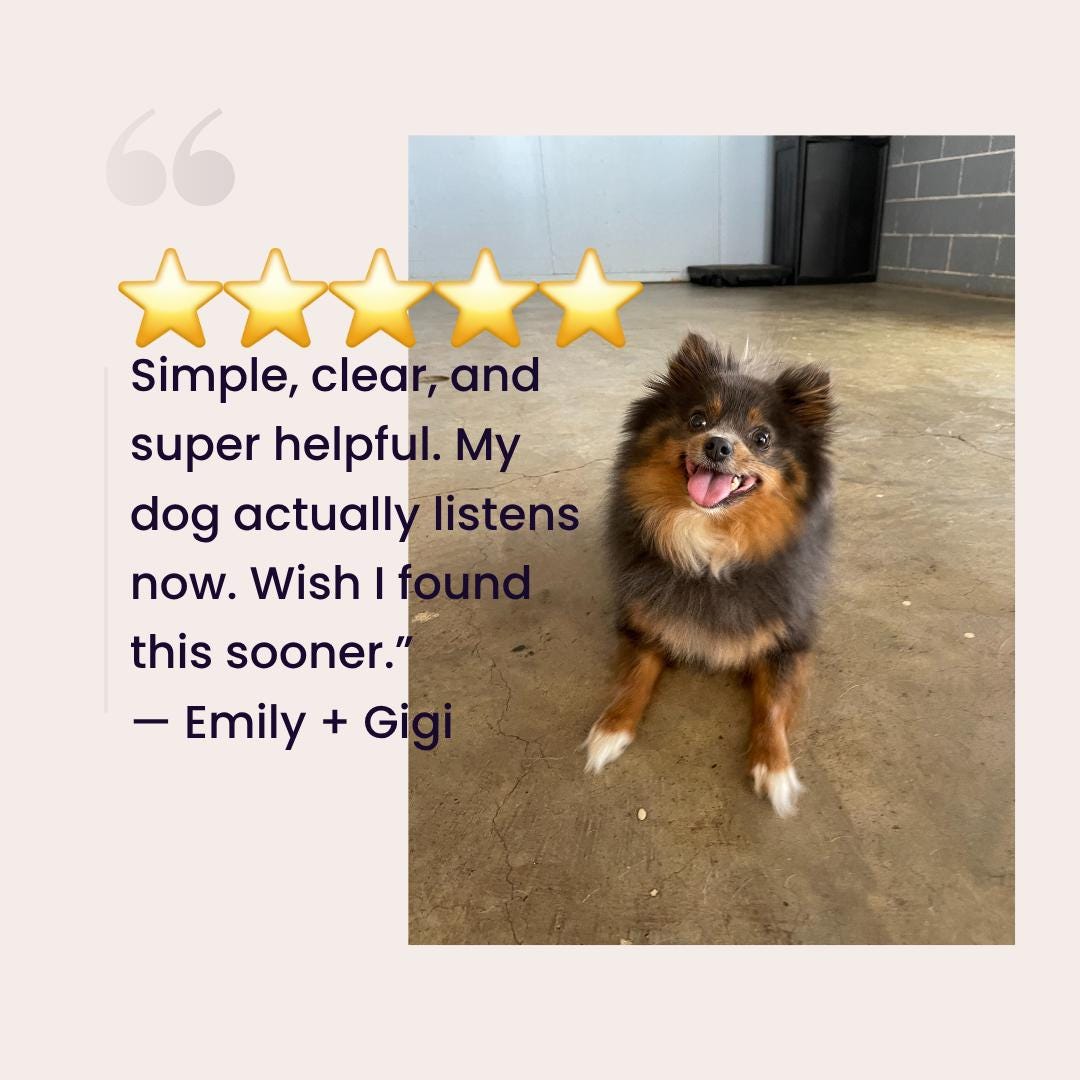 4-Week Sit Dog Training Challenge: Puppy Obedience Worksheet (PDF Download)