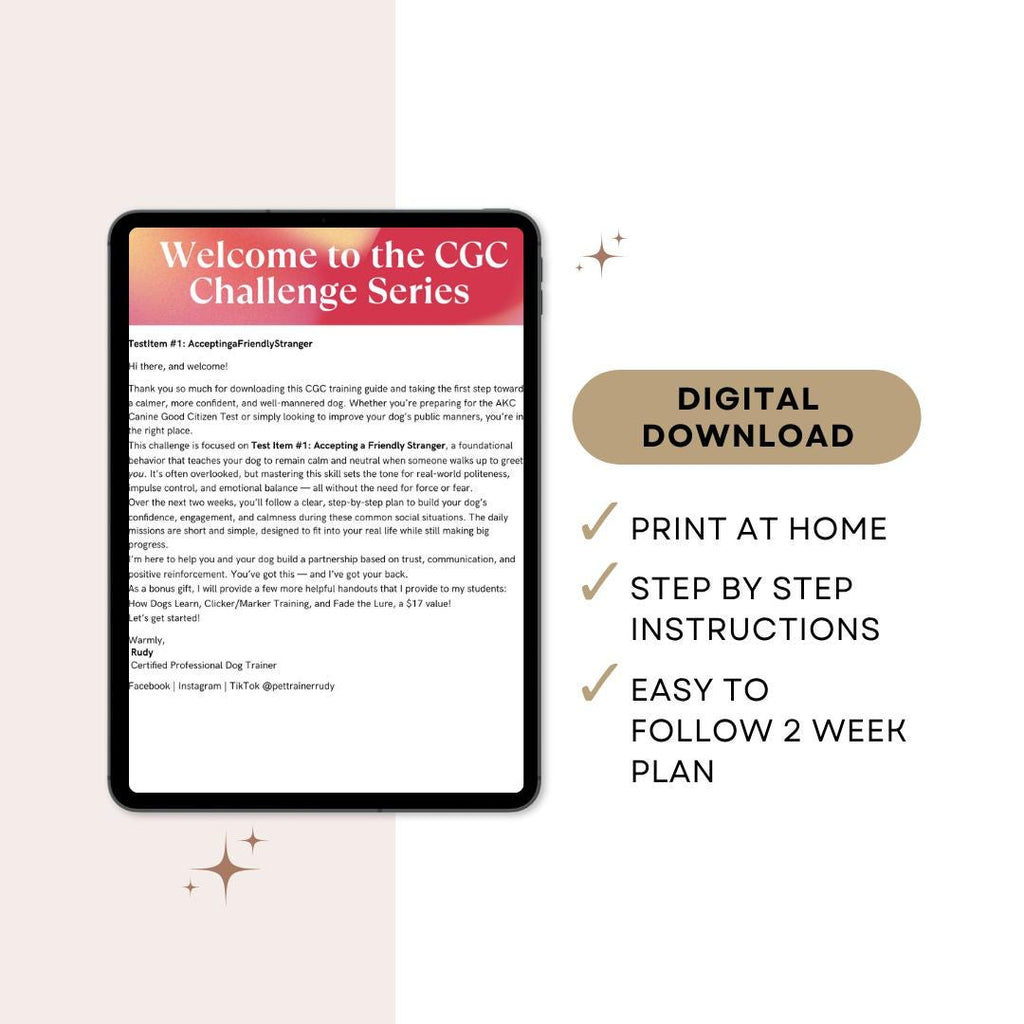 AKC CGC Challenge: Accepting a Friendly Stranger | 2-Week Dog Training Plan (Digital Download)