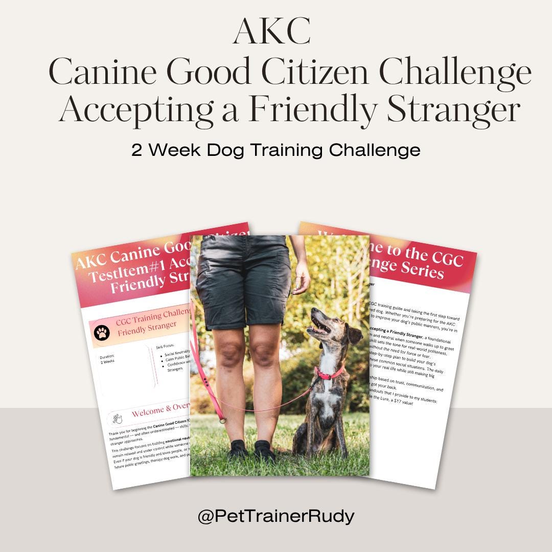AKC CGC Challenge: Accepting a Friendly Stranger | 2-Week Dog Training Plan (Digital Download)