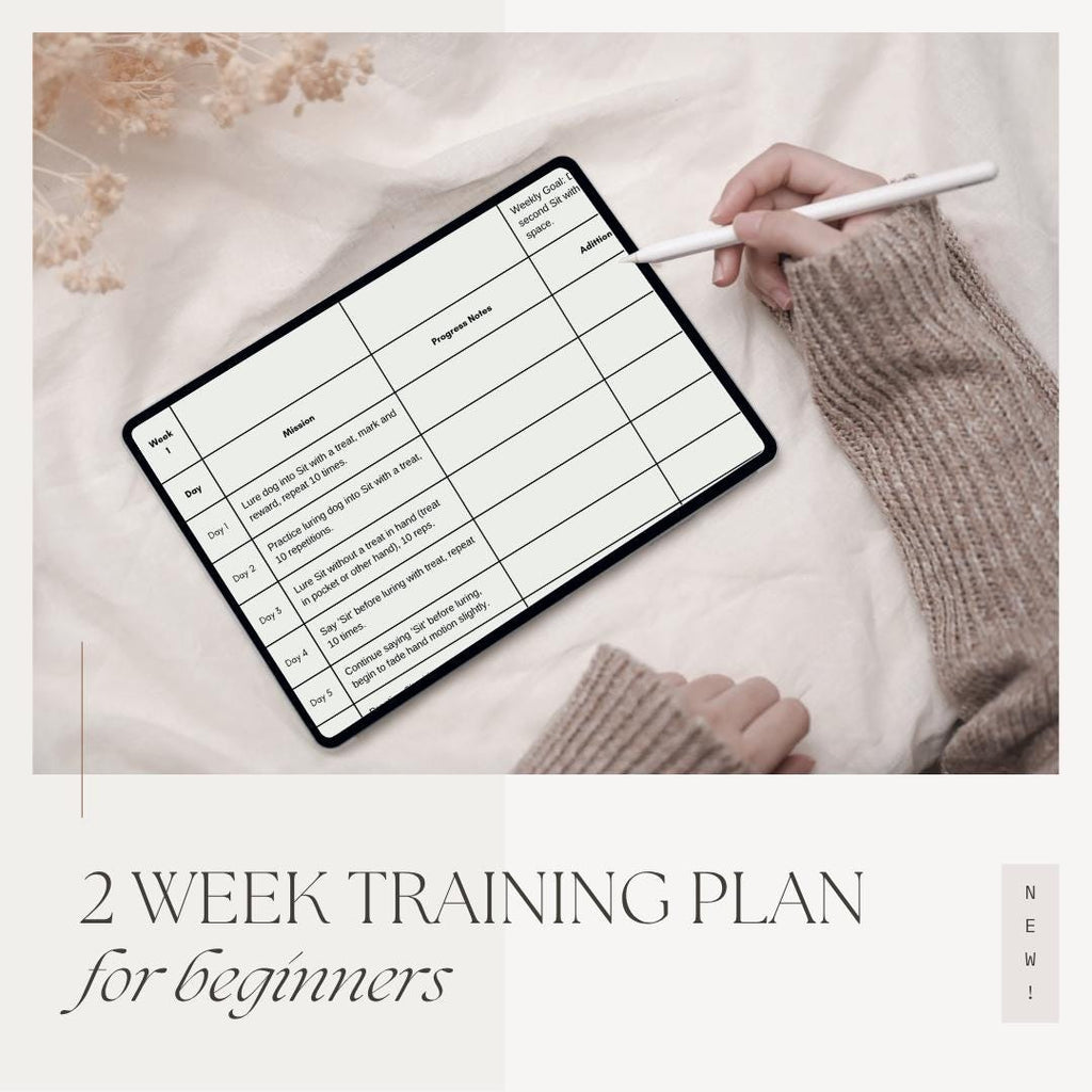 AKC CGC Challenge: Accepting a Friendly Stranger | 2-Week Dog Training Plan (Digital Download)